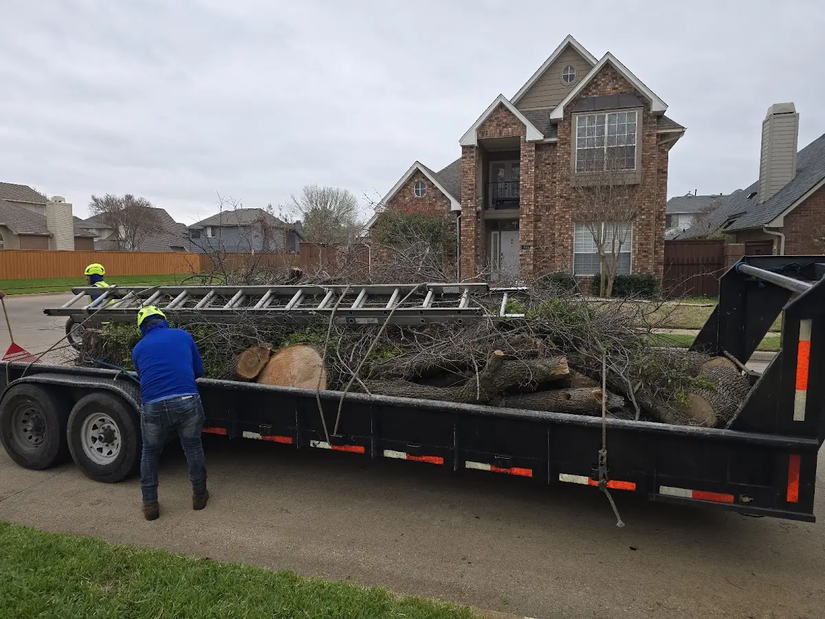 Expert Tree Fertilization with proper safety equipment in Sebago